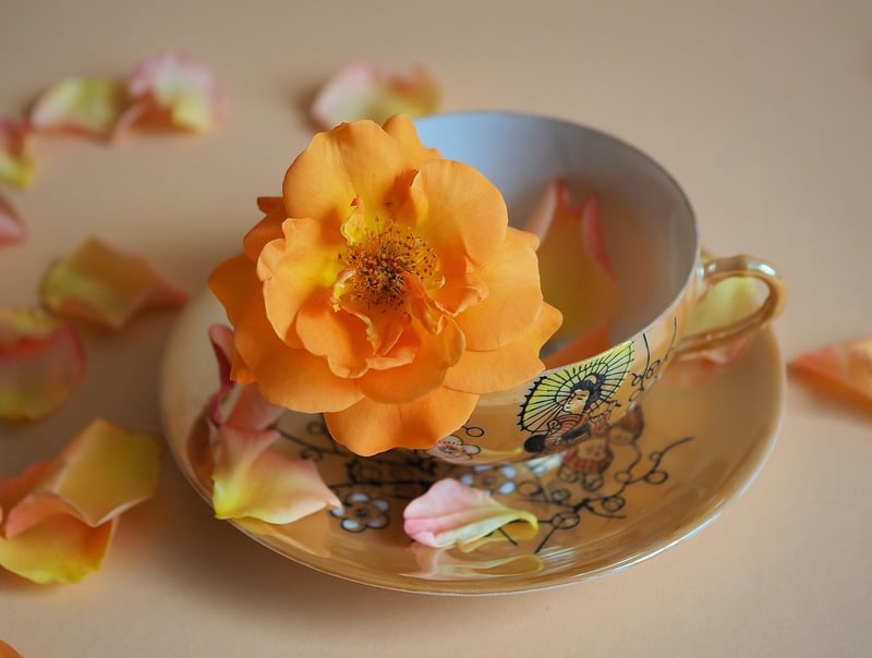 Teacup Candles